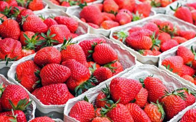 Petit marché de Briatexte