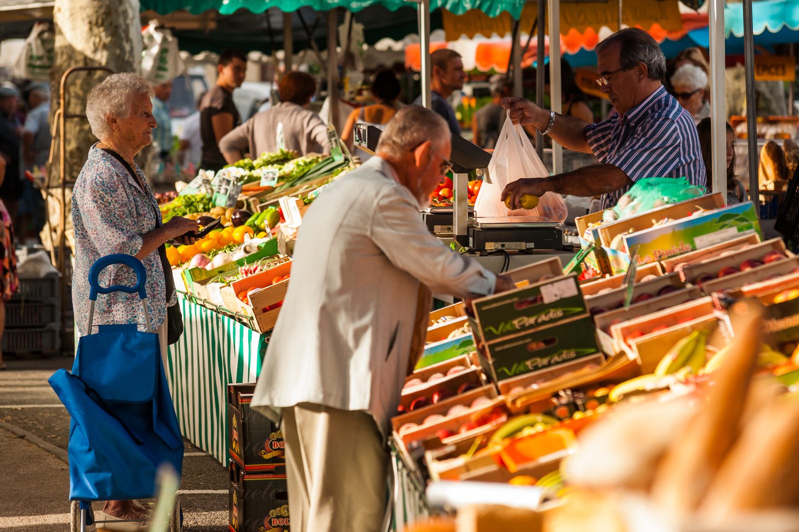 Grand marché du samedi à Lavaur
