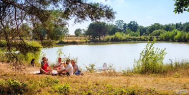 Domaine des Vergnades