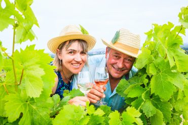 Pass Vigneron au Château Balsamine