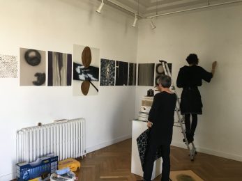 Château de La Falgalarié